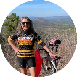 velo insider