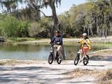 A Guide to Citizen Bike in 2024