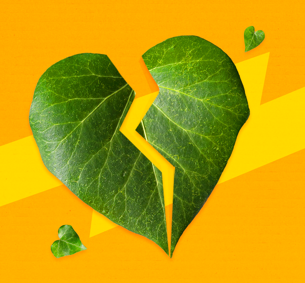 Does Being Eco-Friendly Make You a Better Dating Candidate?