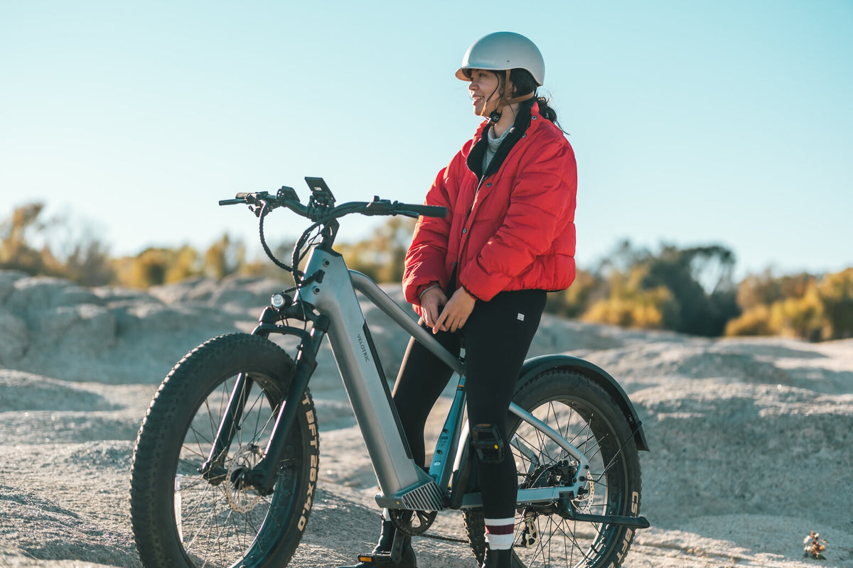 electric bike tool kit