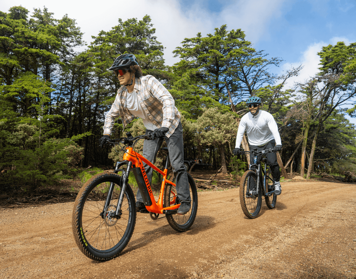 Velotric Summit 1 electric mountain bike for all terrains