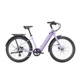 variantID:B1_VioletHaze_ads