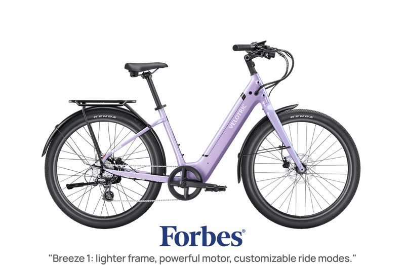 variantID:51834046022004#51834046153076