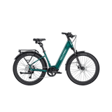 variantID:_EmeraldGreen_ads