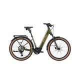 variantsID:DM_OlivineGreen_ads