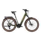 variantsID:DM_OlivineGreen_ads