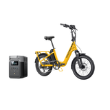 variantID:F1_Mango_ads