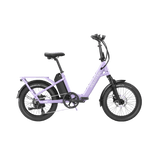 variantsID:F1__Violet_Haze_1_ads