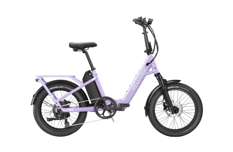 variantsID:54068599619956