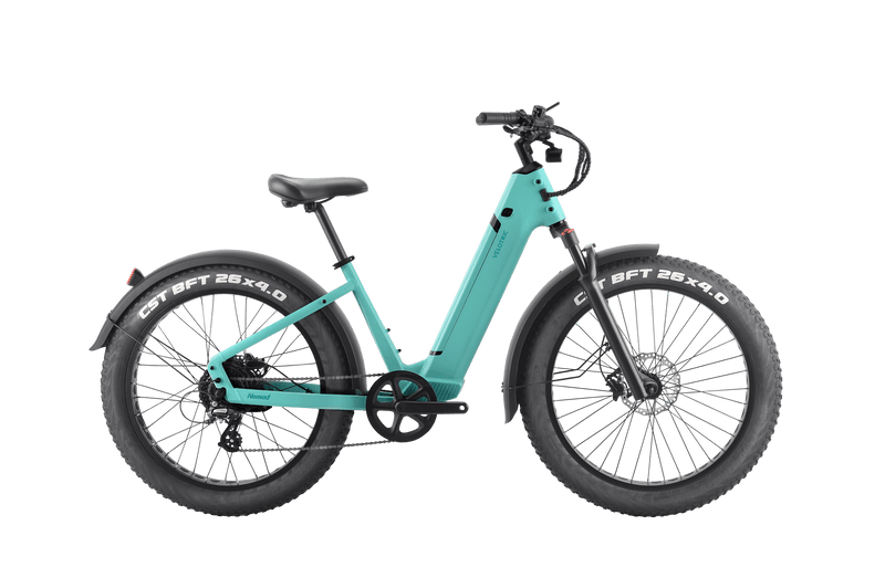 E bike motor not working 2025