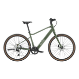 variantsID:Tempo_HS_Forest_Evergreen_1_ads