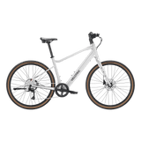 variantsID:Tempo_HS_Forest_Evergreen_1_ads