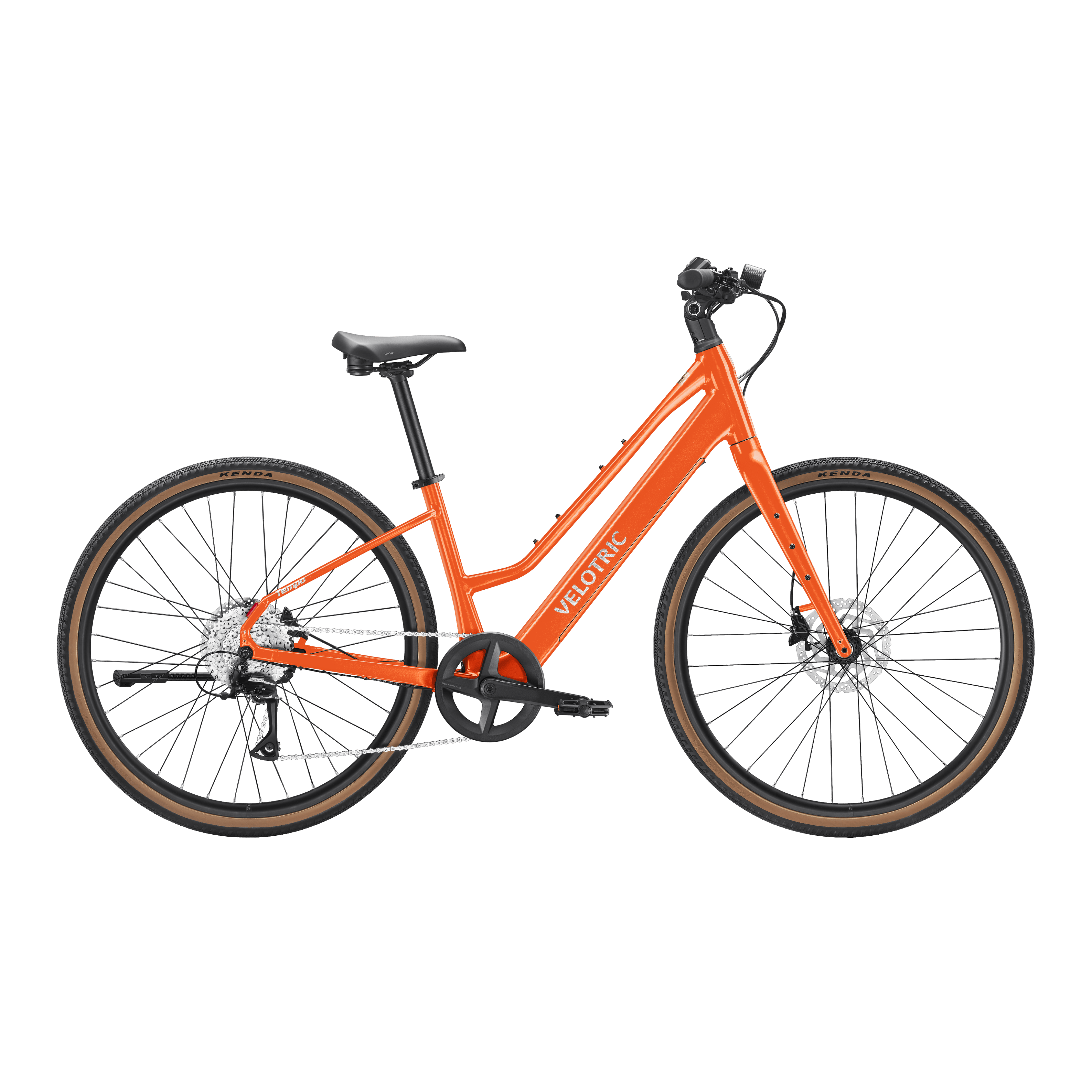 variantsID:Tempo_HS_Fort_Evergreen_1_ads