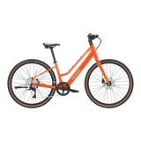 variantsID:Tempo_HS_Fort_Evergreen_1_ads