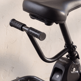 Velotric Passenger Handrail