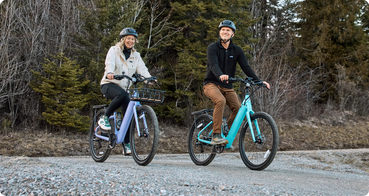 electric cruiser bike - park