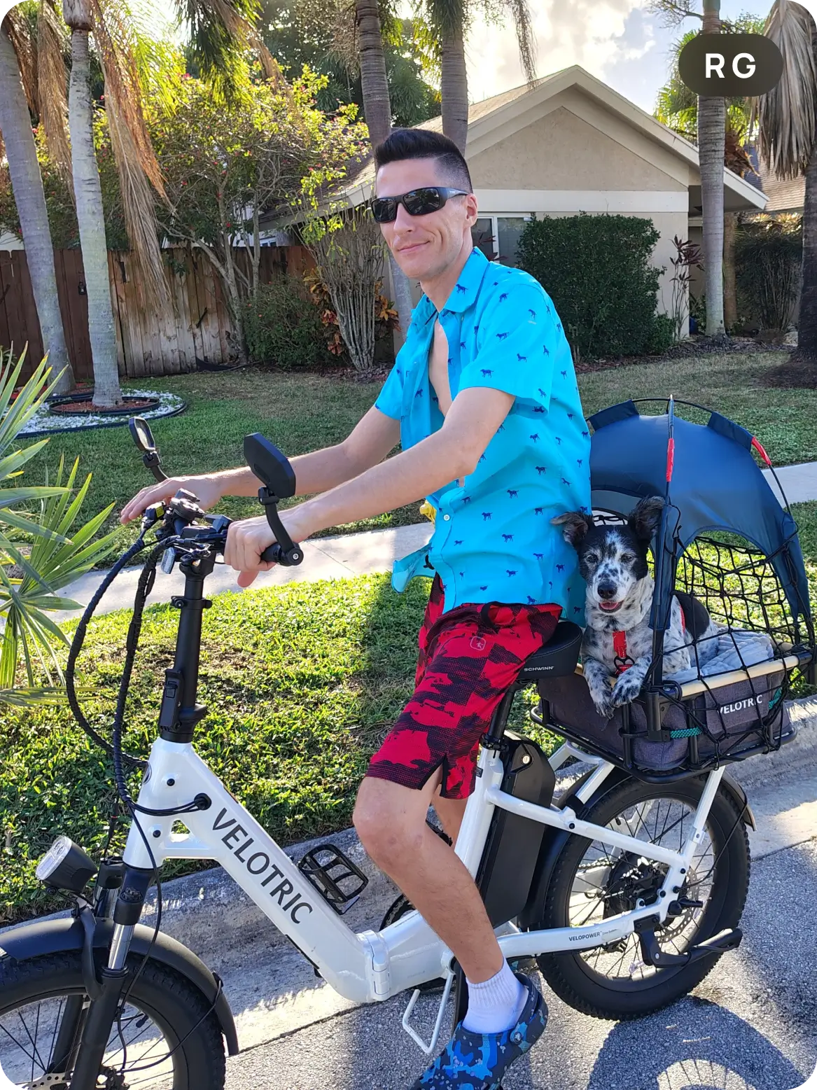 foldable_ebike_with_dog_carrier_setup
