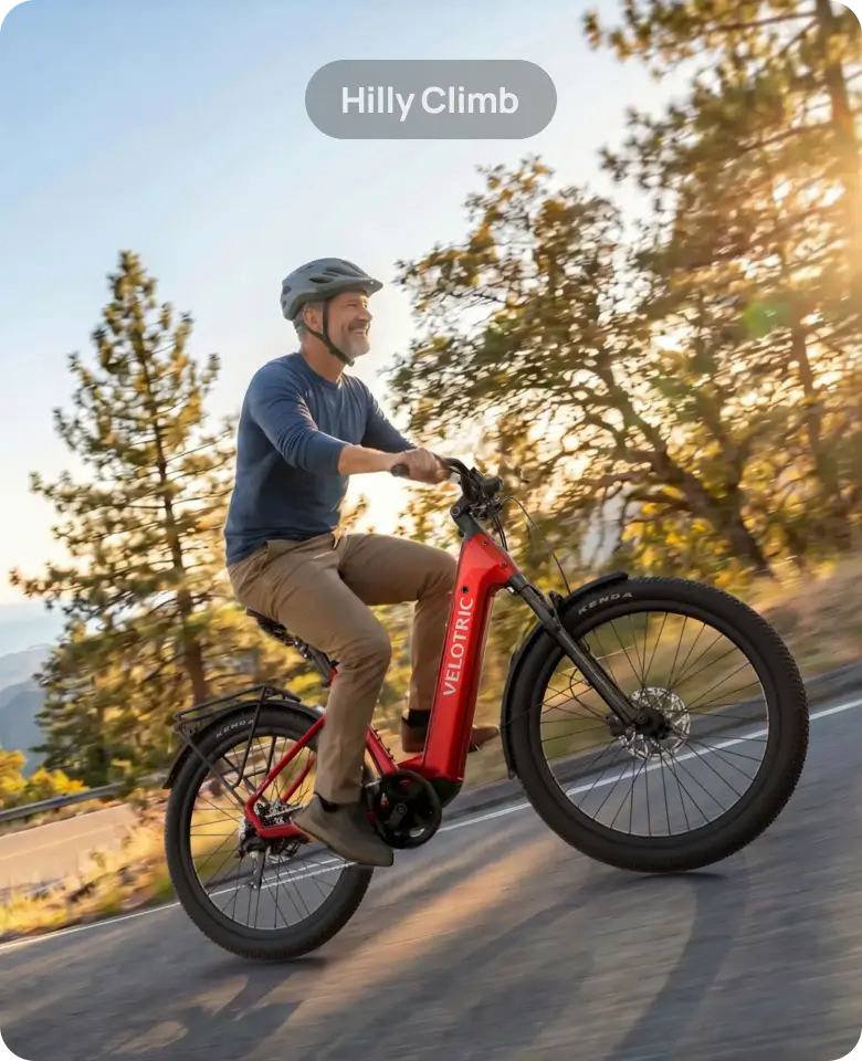 Velotric