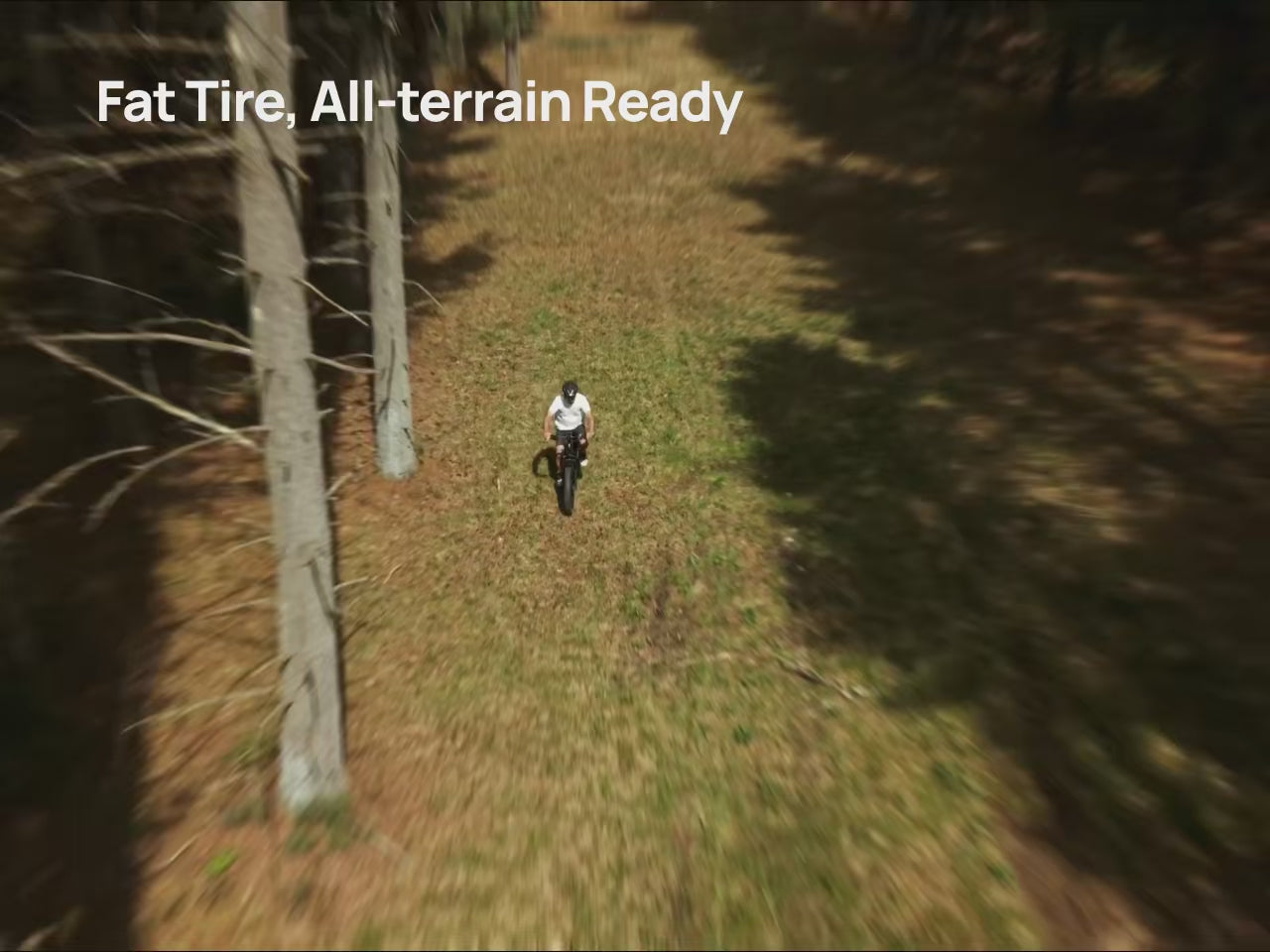 variantID:54974383980916#52348980396404#52348980429172#54974383849844#52091391869300#52091391902068#52090323927412#52091391934836#54974383817076#54974383882612#54974383915380#54974383948148[media-ab:b][poi:N2X_POI_2_FatTire]
