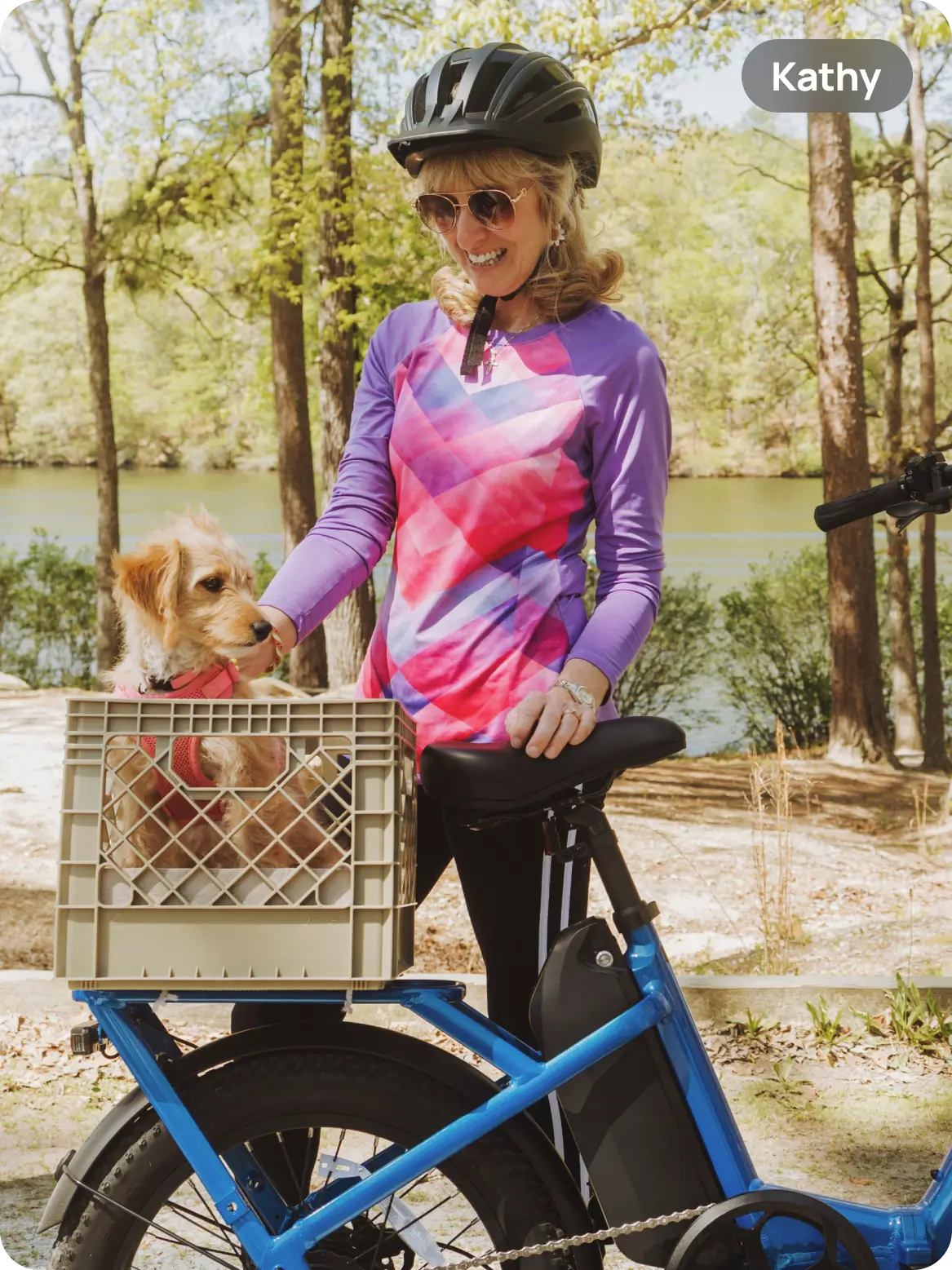step_through_ebike_with_dog_cargo_basket