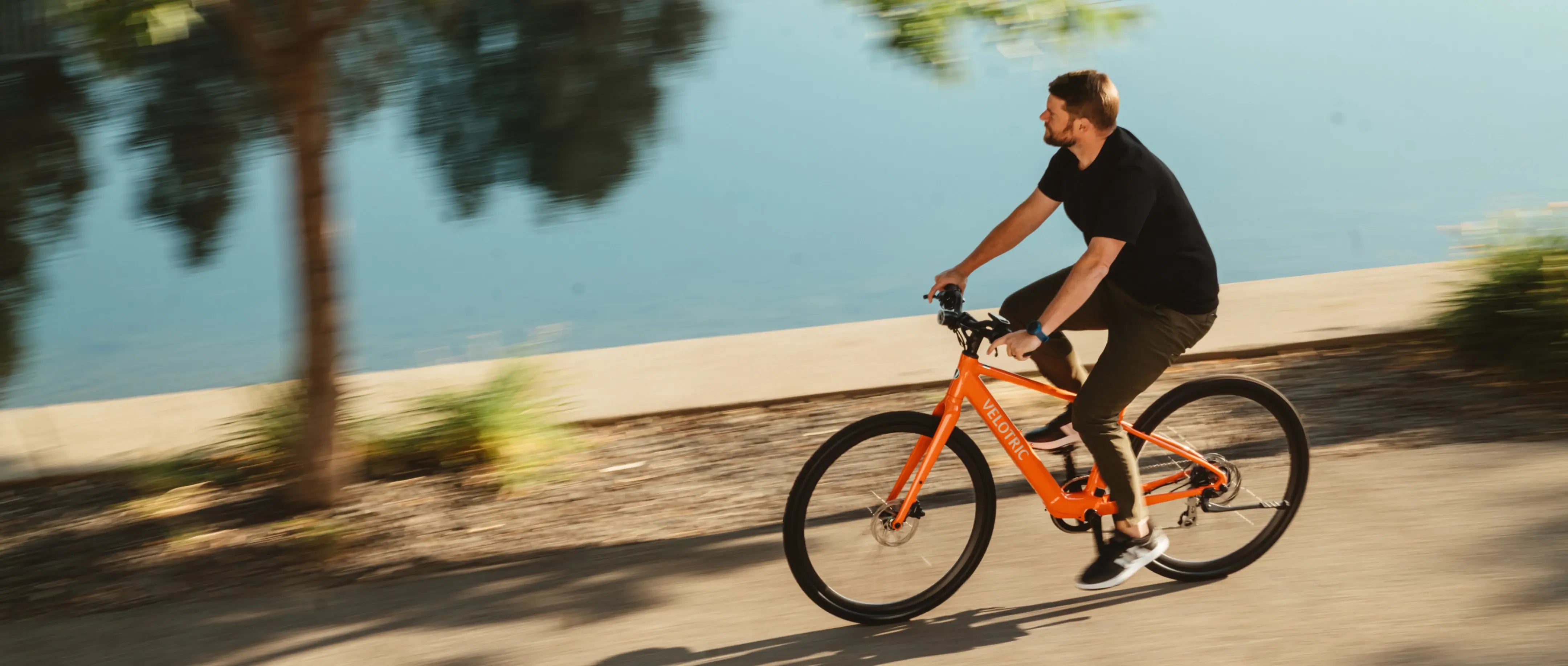 Velotric