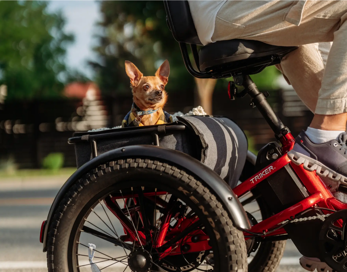 Velotric Triker electric tricycle for adults - Unmatched payload capacity