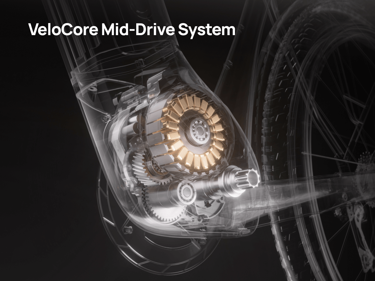 variantsID:53888174391668#53888174522740#53888174424436#53888174555508