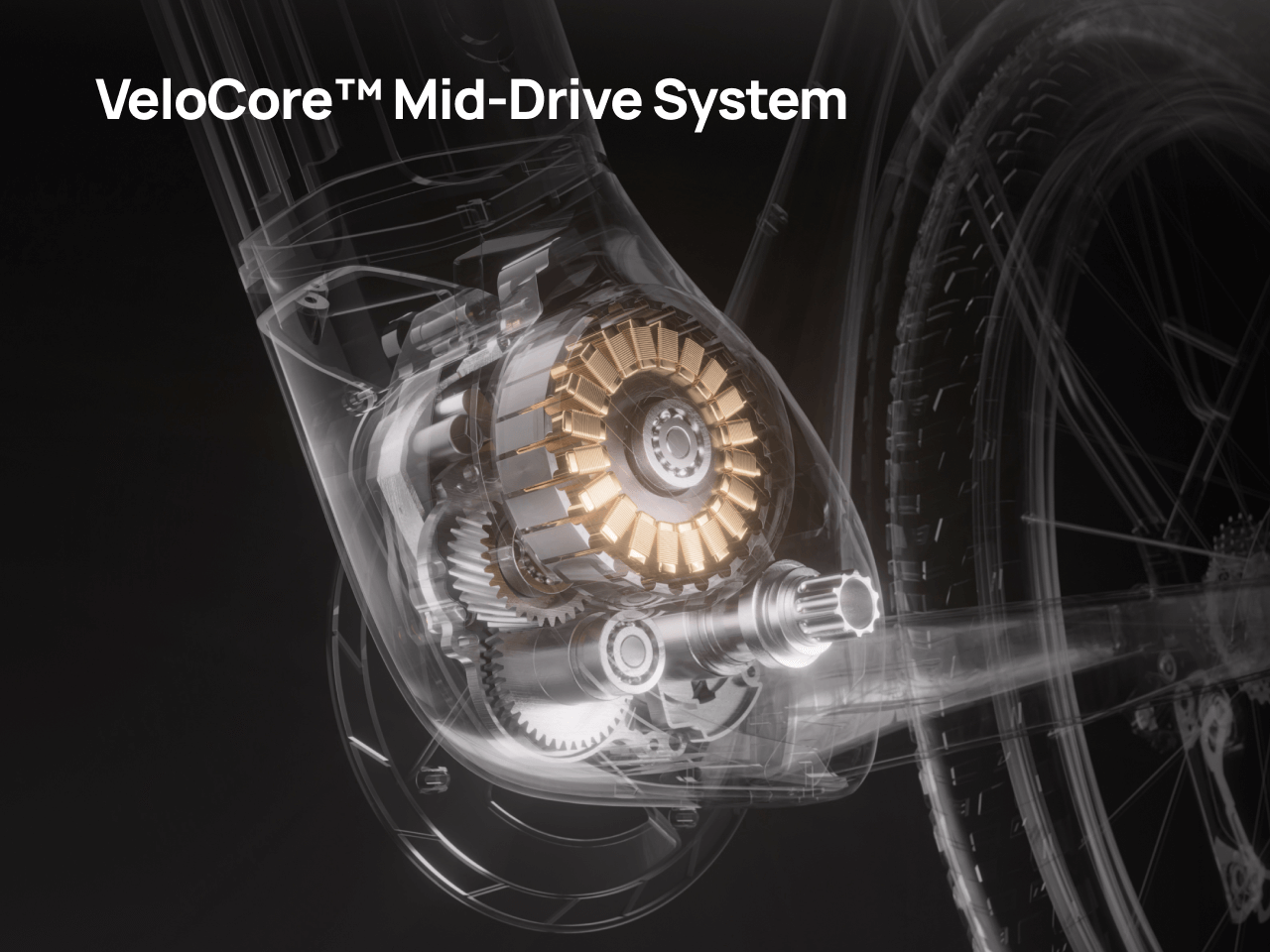 variantsID:53888174391668#53888174522740#53888174424436#53888174555508