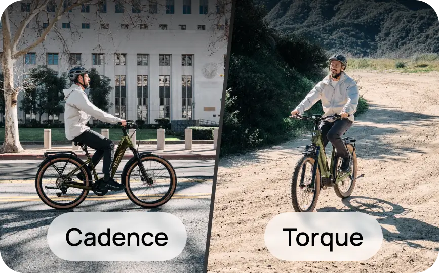 velotric_discover_m_sensorswap