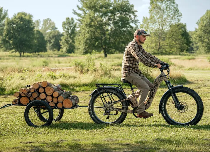 Velotric